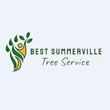 Best Tree Service Summerville, SC - Tree Services in Summerville