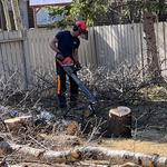 Cypress Tree Service - photo 3
