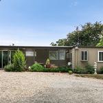 A Dogs Domain and Cats too - photo 9