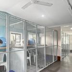 A Dogs Domain and Cats too - photo 10