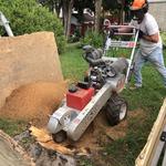 Essouchage Dulude - photo 1