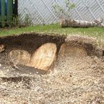 Essouchage Dulude - photo 2