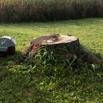 Essouchage Dulude - photo 3