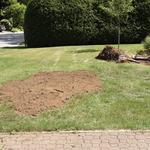 Essouchage Dulude - photo 5