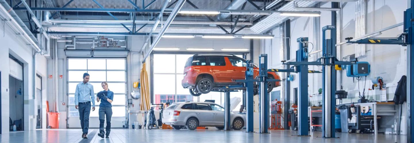 Advanced European Repair cover photo