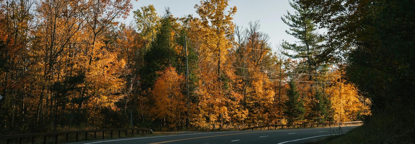 Expert Windscreens cover photo