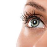 Discover Vision - photo 6