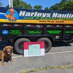 Harley's Hauling & Dumpster Rental - photo 2
