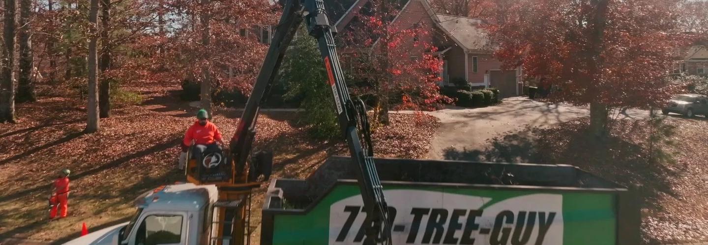 770 Tree Guy cover photo