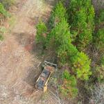 770 Tree Guy - photo 7