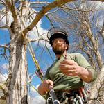 770 Tree Guy - photo 8