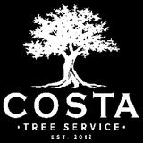 Costa Tree Service - Tree Services in Hartland