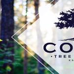 Costa Tree Service - photo 1