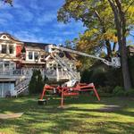 Costa Tree Service - photo 3