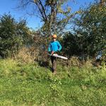 Costa Tree Service - photo 4