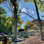 Costa Tree Service - photo 5