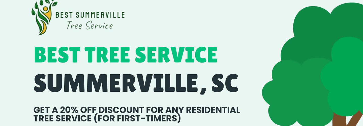 Best Tree Service Summerville cover photo