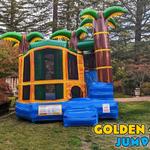 Golden Jumpers - photo 8