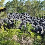 1 Call Clean Out - Westfield - photo 1