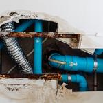 The Dry Guy Restoration - photo 2