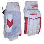 Sports Legacy - photo 3