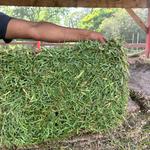 Sod Grass Pallets Landscape & Supply Store - photo 1