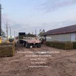 Sod Grass Pallets Landscape & Supply Store - photo 2