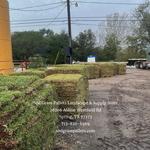 Sod Grass Pallets Landscape & Supply Store - photo 6