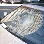 Windshield 911 of Wellington - photo 2