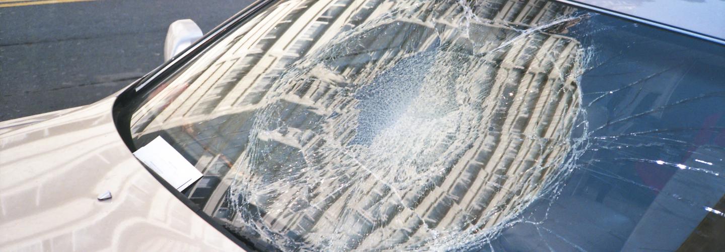 Windshield 911 of Wellington cover photo