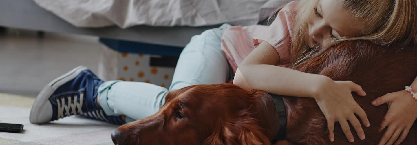 Hensol Vets cover photo