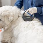 Hensol Vets - photo 2