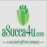 ASucca4U - Gift Shops in Menifee