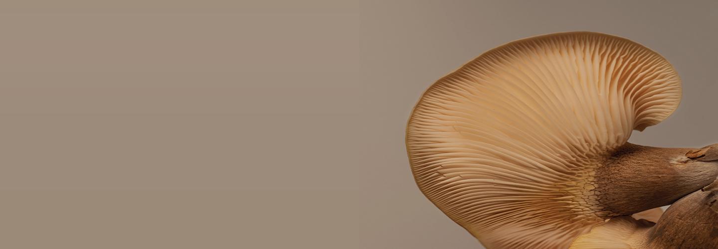 The Wellbeing cover photo