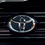 Detailing Bull - photo 9