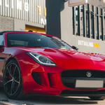 Detailing Bull - photo 10