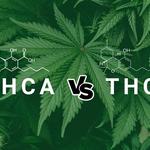 STIIIZY Benicia - photo 6