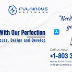 Fulminous Software - photo 4