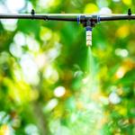 Sprinkler Systems of San Antonio - photo 4