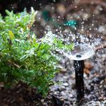 Sprinkler Systems of San Antonio - photo 5