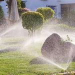 Sprinkler Systems of San Antonio - photo 7