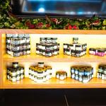 Evergreen OC - photo 1