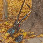 Free Dare Sport - photo 2