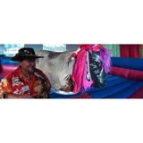 Taureau Mécanique - Entertainment in Saint-Pie-de-Guire