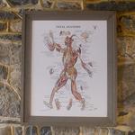 Middletown Physical Therapy - photo 9