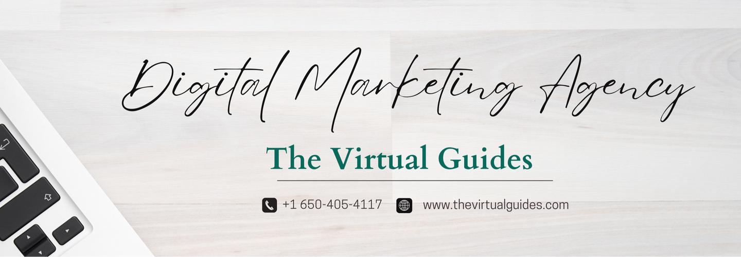 The Virtual Guides cover photo