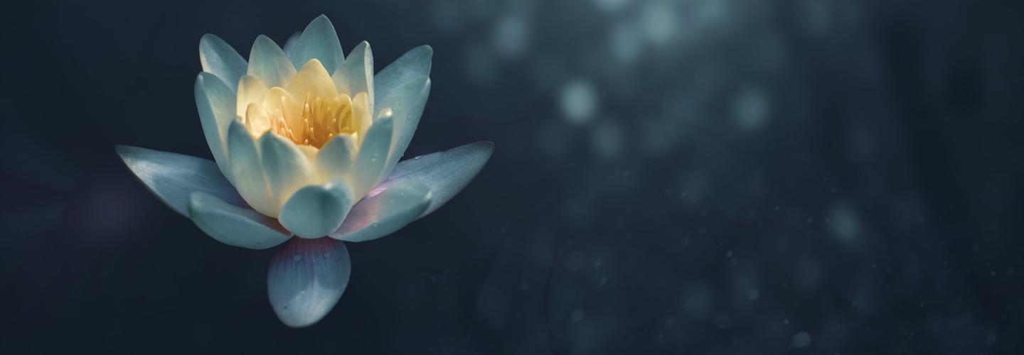 KV Institute of Health and Wellness cover photo