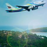 airlinesrule - Travel Services in New York