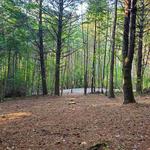 Compass Land Group - photo 2