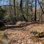 Compass Land Group - photo 3